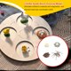 thumbnail image 5 of Vogacara 1 Juego de modelo de gusano de pala, Material plástico Premium, figuritas de insectos significativas, modelos de crecimiento educativo temprano Juguetes Educativos tarántula NO26 Vogacara  FN010083-26, 5 of 6