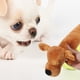 thumbnail image 2 of Juguetes de peluche para mascotas, juguetes para masticar perros, cachorros, gatos, morder, sonido, juguetes chirriantes, diseño de perro salchicha de dibujos animados (amarillo), 2 of 6