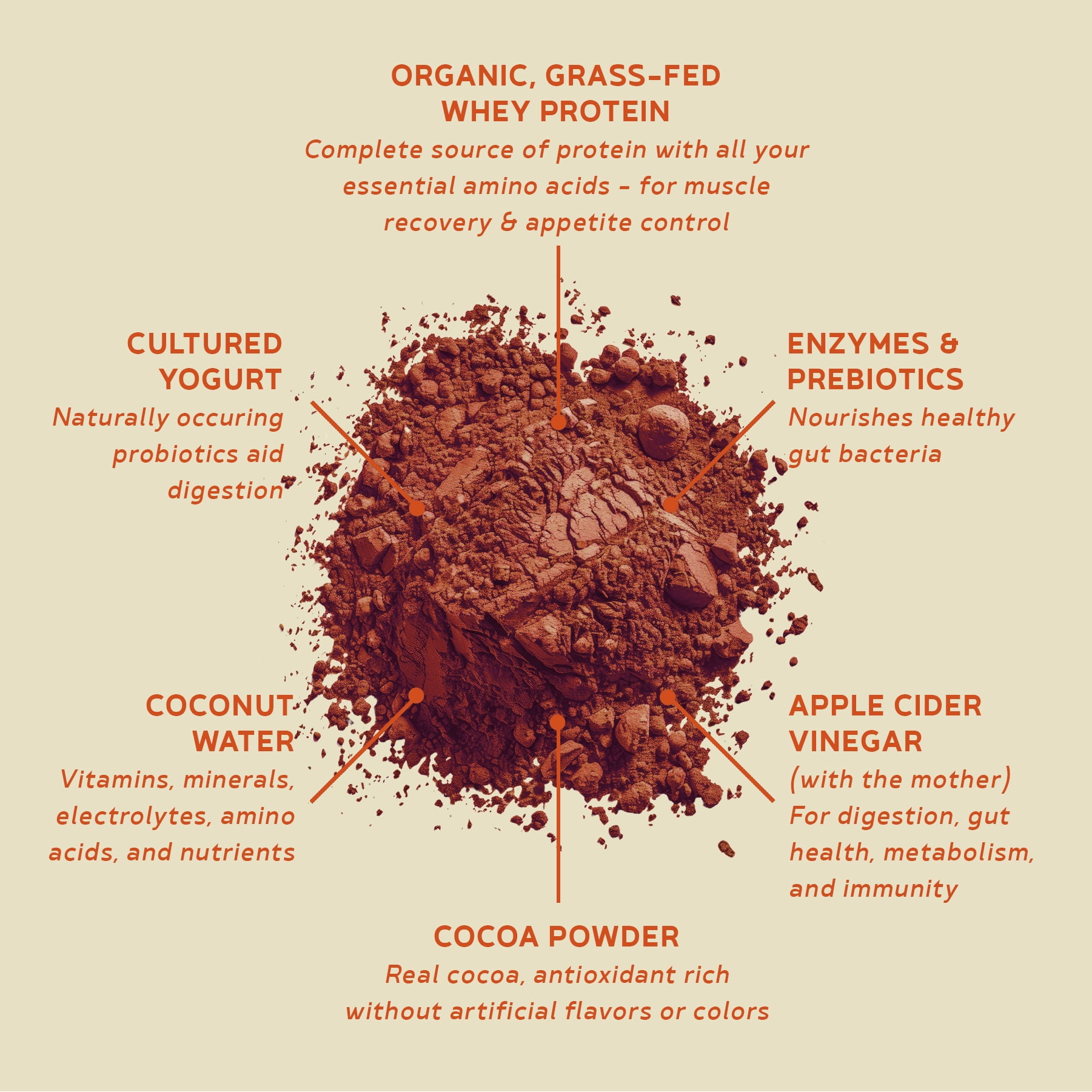BBfL Protein Meal Replacement Powder, 21g Protein, Organic Whey Protein, Apple Cider Vinegar, 50mg Digestive Enzymes, Prebiotics, All in One Shake (15 Servings, Cocoa)
