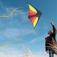 thumbnail image 5 of GEX 2022 Style 50" Large Delta Kite for Kids and Adults Beginners Easy to Fly Single Line String for Beach Trip Park Outdoor Activities Redy/Yellow, 5 of 6
