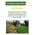 thumbnail image 6 of See Spot Run Lawn Protectant - Cures and Prevents Dog Urine Spots. Safe, Effective, Natural Lawn Care Product and Excellent Grass Saver for Pets to Aid your Lawn Fertilizer (32oz.hose end concentrate), 6 of 6