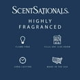 thumbnail image 3 of Scentsationals Wax Melts, Wax Cubes Strong Scent - Enchanted - Long Lasting Scented Wax Melts for Warmer, 10oz (24-Cubes), 3 of 5