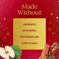 thumbnail image 3 of Glade Automatic Spray Refill, Warm Apple & Spices, Scented Air Freshener for Home and Bathroom, 6.2 Oz, 6 Count, 3 of 4
