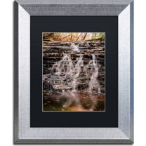 Trademark Fine Art "Hidden Falls" Canvas Art by Jason Shaffer, Black Matte, Silver Frame