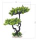 thumbnail image 2 of Plantas de acuario, plantas artificiales, utilizadas para la decoración de acuarios y peceras., 2 of 5