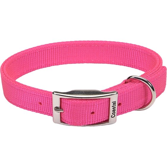 Coastal Dog Collar