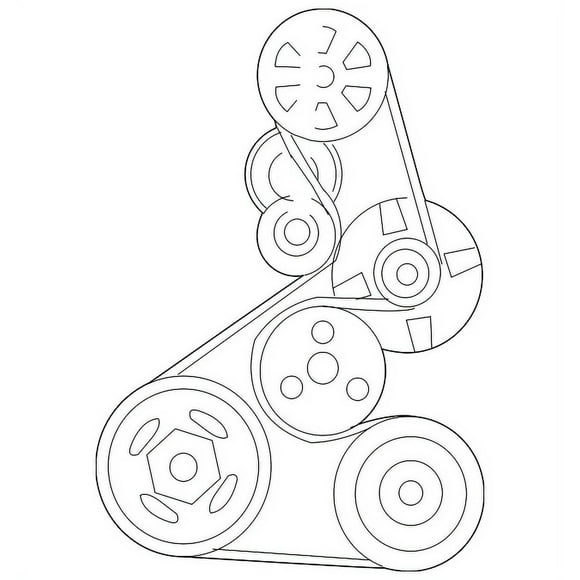 Honda S2000 Serpentine Belt