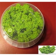 Scenics-Spring Undergrowth, 180 ml