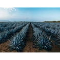 thumbnail image 3 of Tequila Maestro Dobel Diamante Rep c/Estuche 700 ml, 3 of 3