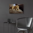 thumbnail image 6 of Epic Art 'Lioness' by Harro Maass, Acrylic Glass Wall Art, 24"x16", 6 of 8