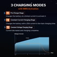 thumbnail image 2 of LiTime 29.2V 20A LiFePO4 Battery Charger with LED Indicators, 4 Built-in Safety Protections Support 0V Charging Function for 24V LiFePO4 Battery, 2 of 9