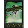 Popofoni - Popofoni - Jazz - Vinyl