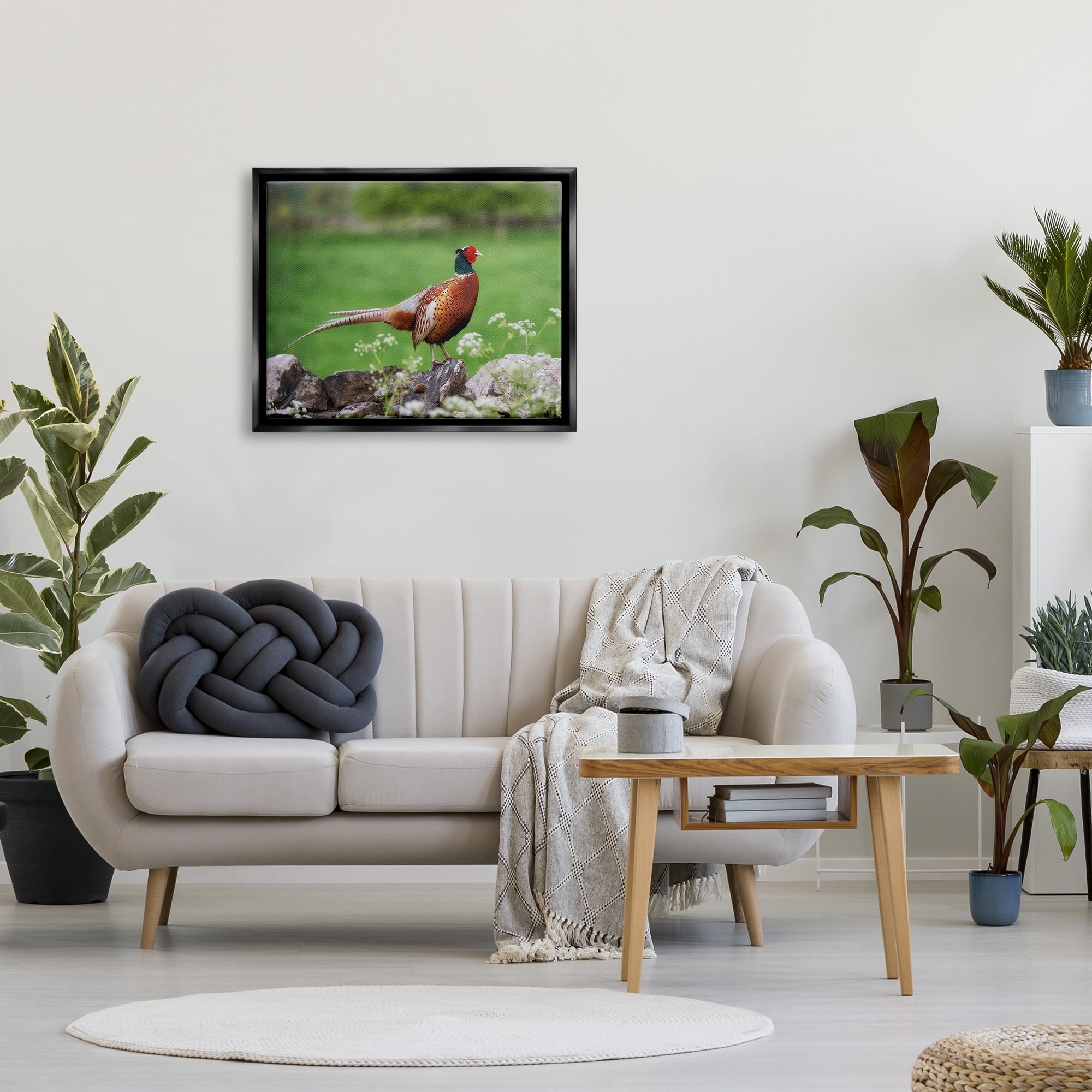 Stupell Industries Pheasant Strolling Lush Grassland Rural Nature Landscape Photograph Jet Black Floating Framed Canvas Print Wall Art, Design by James Dobson