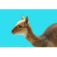 thumbnail image 2 of Phillip, Jamie 18x13 White Modern Wood Framed Museum Art Print Titled - Hello, 2 of 4
