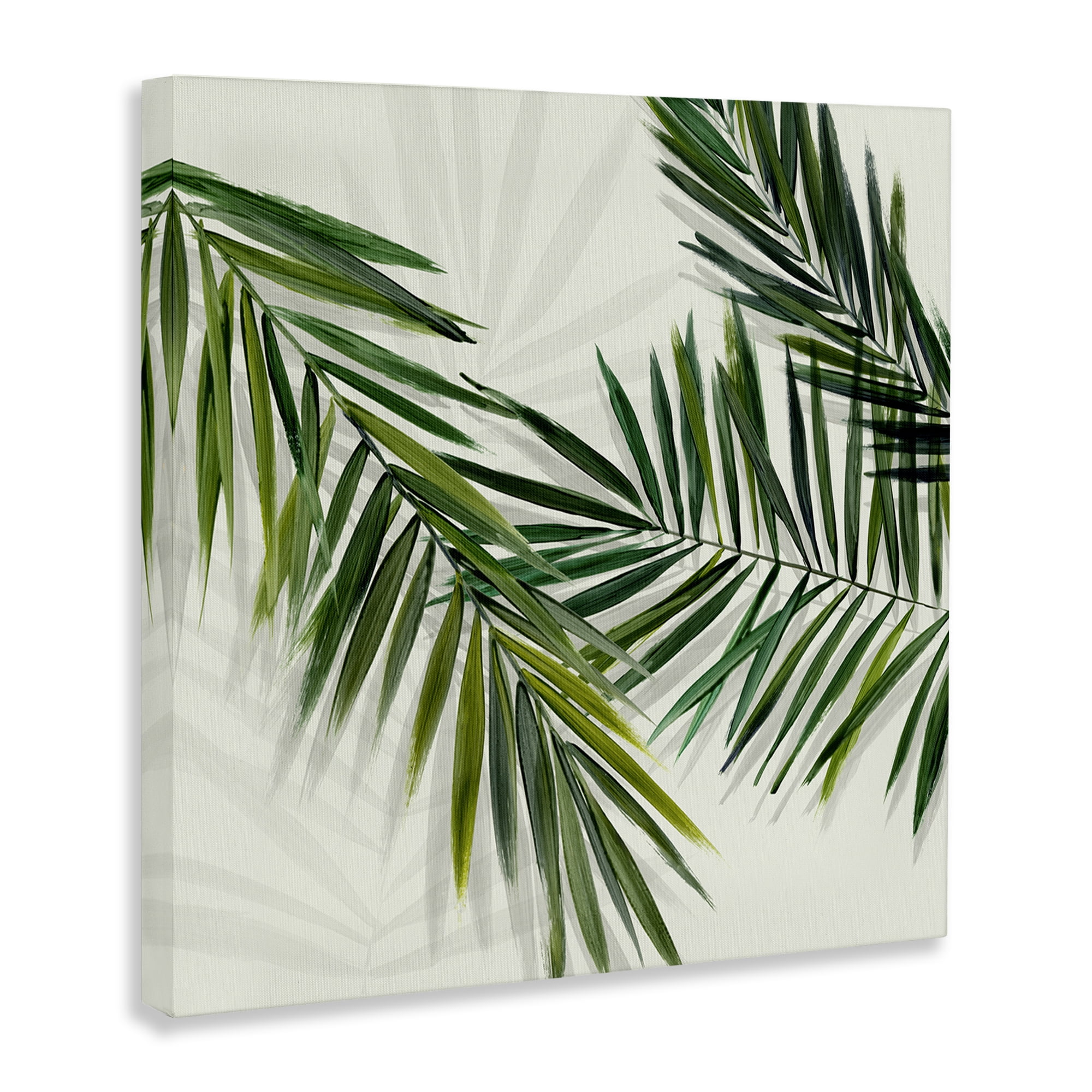 Stupell Industries Tropical Palms with Shadows Plants & Flowers Painting Wrapped Canvas Art Print Wall Art, 17 x 17