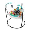 Animal Wonders Jumperoo