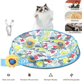 Cat in motion cat wheel sale