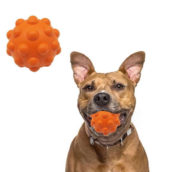 Dog Chew Toys, Squeaky Interactive Toys for Medium Large Dogs, Multi-Functional Teeth Cleaning and Training