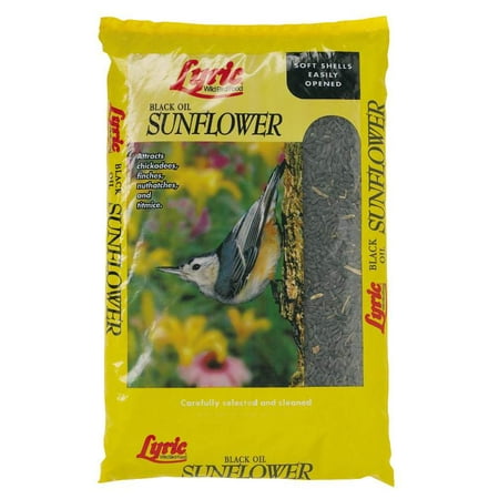 black sunflower seeds walmart 50lb black sunflower seed walmart black sunflower seeds walmart 50lb black sunflower seed walmart