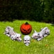 thumbnail image 5 of 4x de Halloween, huesos de espeluznantes, modelo aterrador, adorno de gato agachado para césped, espeluznante libre,, 5 of 9