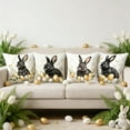 thumbnail image 2 of Easter Pillow Covers, Set of 4 Easter Decorative Pillow Cases, Bunny and Egg Pattern Throw Pillow Covers(A), 2 of 6