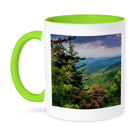 3dRose, Mountain Laurel at Sunrise, Beacon Heights, Pisgah NF, North Carolina, 11oz Two-Tone Green Mug