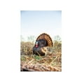 thumbnail image 2 of Primos Photoform Strutter Turkey Decoy, 2 of 4