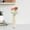 White, variant on Plastic Flower Vase Bulk, Flower Vases for Centerpieces, Tall Bud Vase for Wedding Decor Small Unbreakable Bouquets Vase for Living Room Wedding Table Flowers Decor