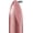 421, variant on Eveline Cosmetics 
Aqua Platinum Lipstick #421