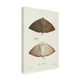 thumbnail image 2 of Unknown 'Antique Rays II' Canvas Art, 2 of 2