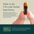 thumbnail image 4 of Gaia Herbs Turmeric Supreme Ache- Helps Provide Relief of Occasional Aches* - with Turmeric Curcumin, Black Pepper, Devil’s Claw, Ginger, Feverfew & More - 60 Liquid Phyto-Capsules(30-Day Supply), 4 of 9