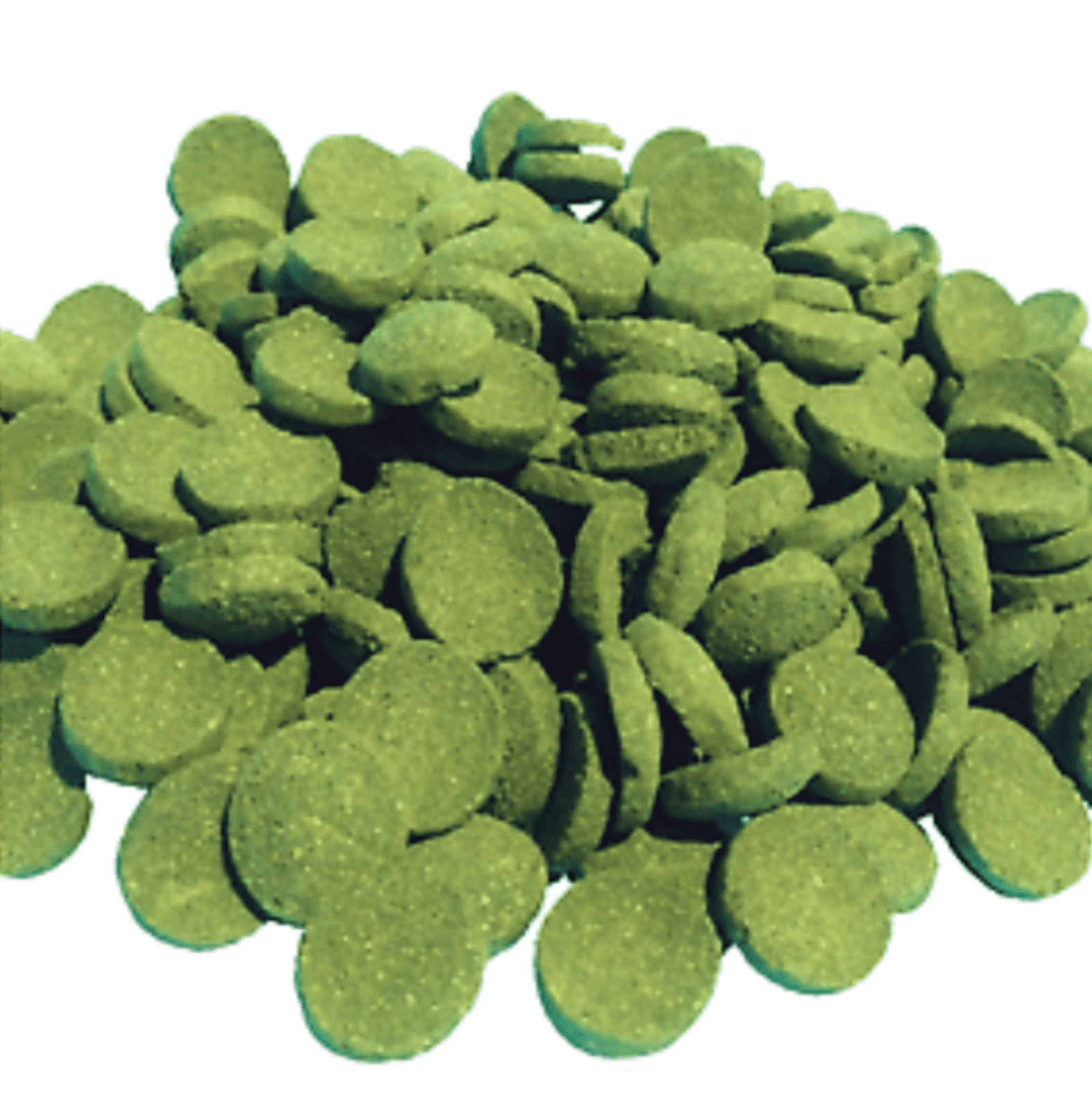 Sinking Wafers of Algae & Spirulina Ideal for Plecos, Bottom Fish, Catfish, Shrimp, Snails, Crayfish, All Herbivorous and Omnivorous Tropical Fish. - Zeigler 5-lb Bucket