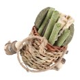 View all media
