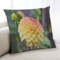 thumbnail image 1 of Ahgly Company Plants Flower Indoor Throw Pillow, 18 inch by 18 inch, 1 of 6
