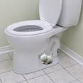 PATLOLLAV Toilet Cover Ornament,Toilet Bolt Caps Decorative & Durable