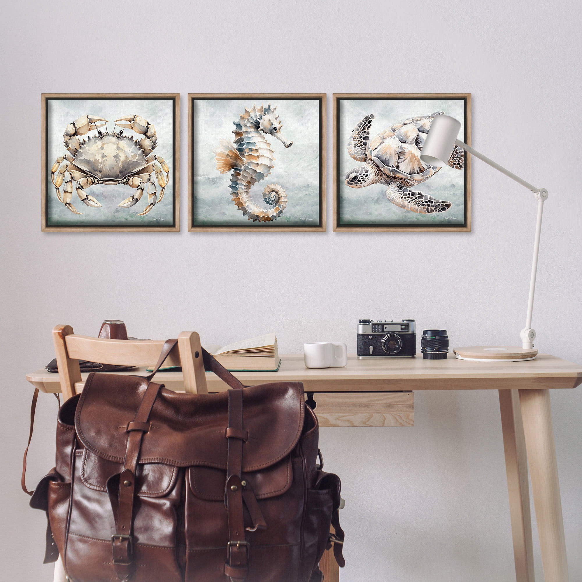 Stupell Industries Traditional Marine Life Animals & Insects Painting Brown Floater Framed Canvas Art Print Wall Art, 18 x 18, Set of 3
