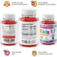 thumbnail image 3 of Dr, Moritz Elderberry Gummies for Kids and Toddlers - Natural Immune System Booster and Health Support with Black Sambucus Elderberries Extract - Vitamin and Zinc Herbal Immunity Boost Supplement, 3 of 7