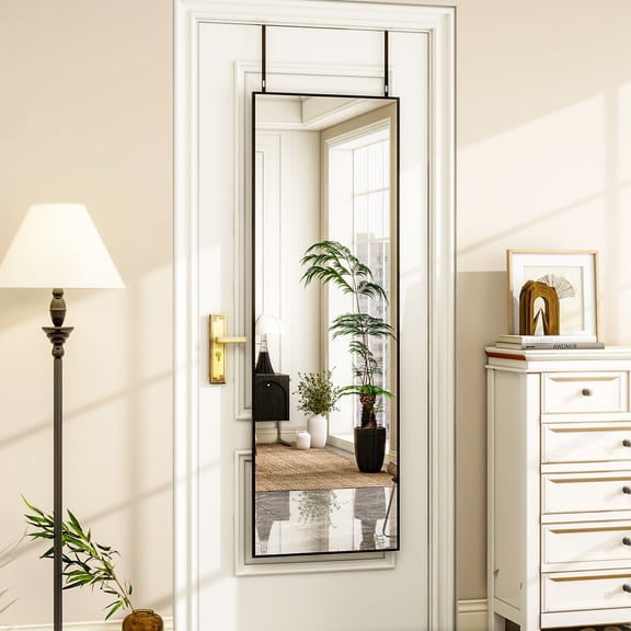 AUROMIR 50"x 16" Full Length Mirror Hanging Door Wall-Mounted Mirror, Black
