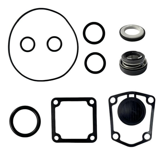 10PCS Gasket Seal Flapper Washer O-Ring Mechanical Seal Repair Kit For Predator 2" in. 212cc Semi-Trash Water Pump 63405 56160 For Pacific HydroStar 2" IN 212cc 61986 68375 69774 Water Pump