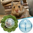 thumbnail image 6 of Clear Ball Hamster Ball Small Pet Running Exercise Ball Guinea Pig Playing Ball, 6 of 8