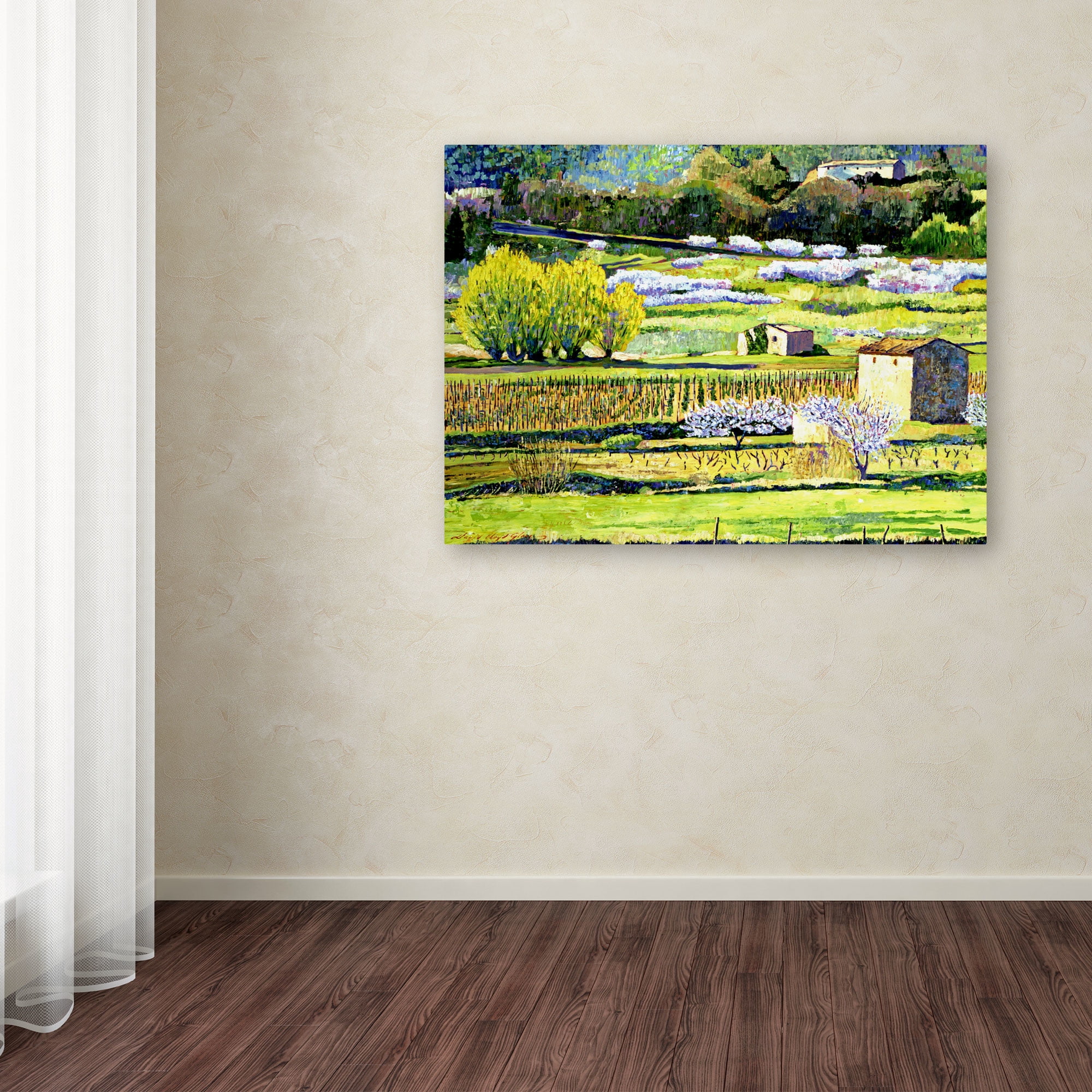 Trademark Art "Bordeaux Vineyards in Spring" Canvas Wall Art by David Lloyd Glover