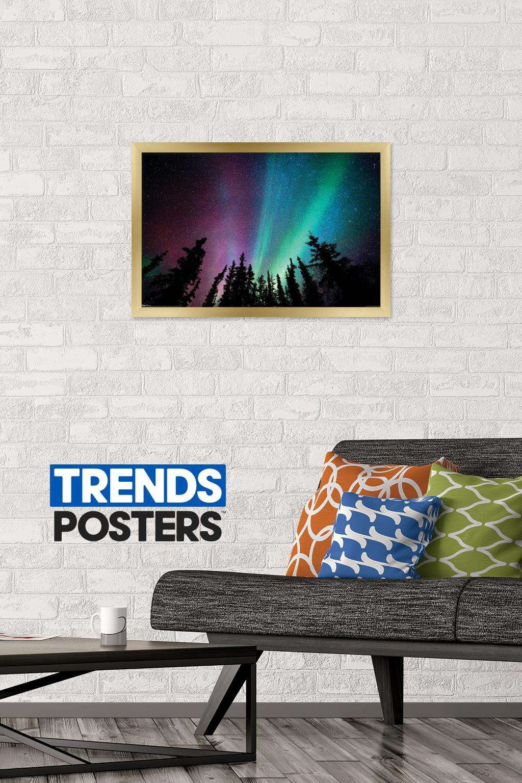 Aurora Borealis - Sky Wall Poster, 14.725" x 22.375", Framed