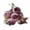 H, variant on Roses Artificial Flowers, 5Pcs Pink Silk Flower Home Decor, Centerpieces for Tables, Floral Bulk, Lifelike Peony for Windows Office Dinning Room Bookshelves