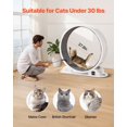 thumbnail image 5 of Cat Exercise Wheel with Pedometer 40.8" Cat Treadmill for Pet Health White, 5 of 7
