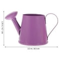thumbnail image 2 of 4 Pcs Mini Watering Can Small Garden Kettle Decor Plant Vase Flower Metal Child, 2 of 6