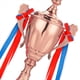 thumbnail image 2 of 2X Copa de Trofeo de Cobre de 11,8 Pulgadas para Competiciones de Reuniones Deportivas, Premios del Equipo de Fútbol y Recuerdos de Fiestas de Competición, 2 of 4