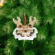 thumbnail image 3 of Árbol De Navidad Personalizado Ciervo Reno Versión Familiar Colgante 2021 Adorno De Regalo De Invierno Cateissary HA044215-05, 3 of 5