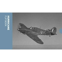 Hurricane Flip Book, (Paperback)