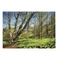 thumbnail image 1 of Nature Cutting Board, Spring Forest Flower Field and Trees Dreamy Eco in Sunny Open Sky Landscape, Decorative Tempered Glass Cutting and Serving Board, Large Size, Yellow Blue Brown, by Ambesonne, 1 of 1