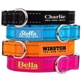 thumbnail image 1 of Collar para perro PAWBLEFY de nailon reflectante personalizado con nombre, 1 of 7
